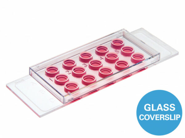 µ-Slide Angiogenesis Glass Bottom